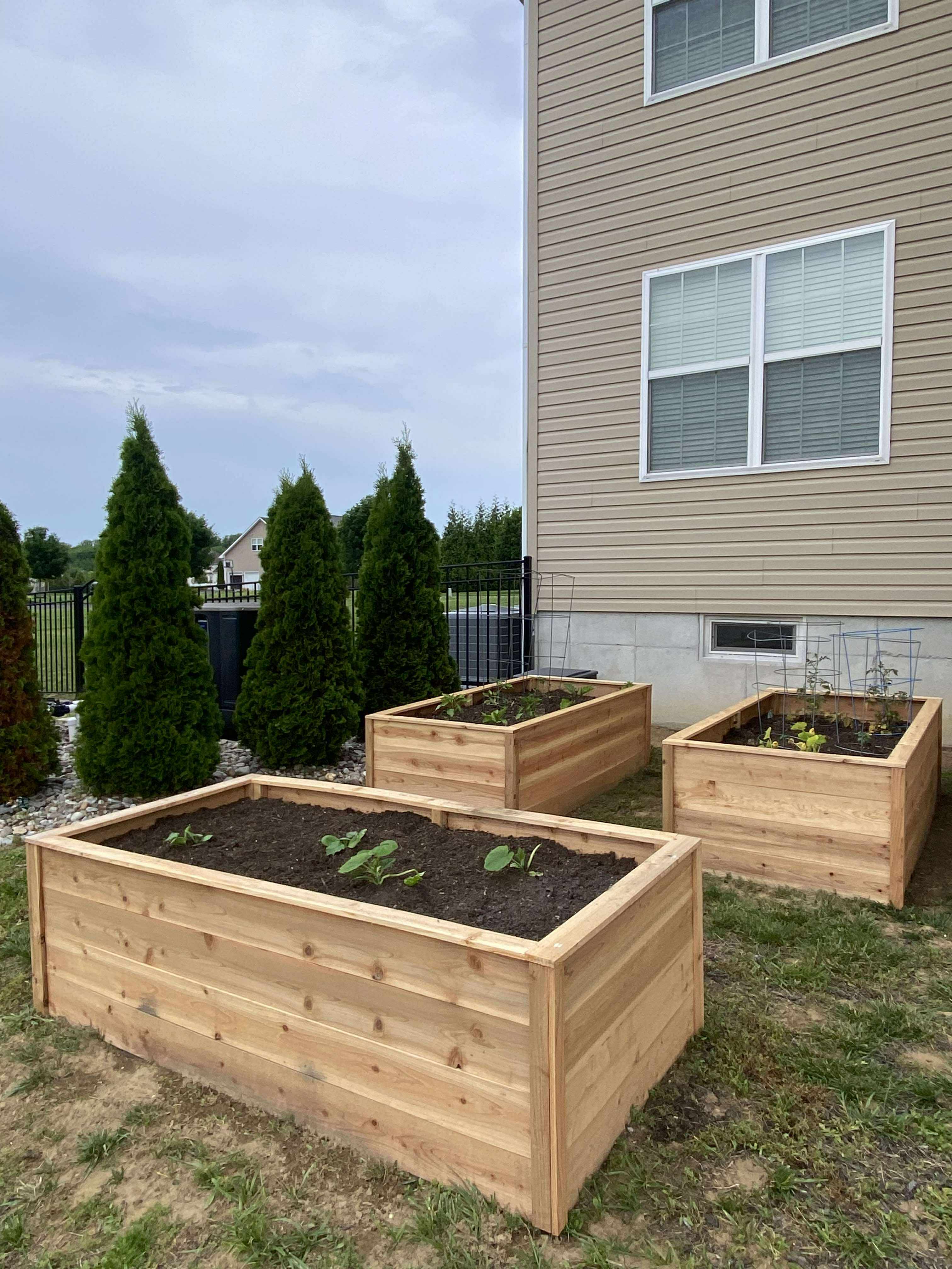 Raised Garden Beds
