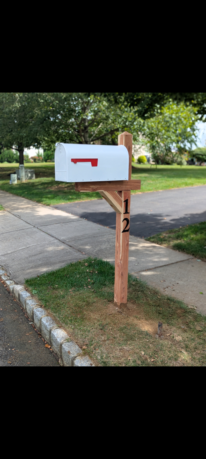 Single Post Cedar Mailbox