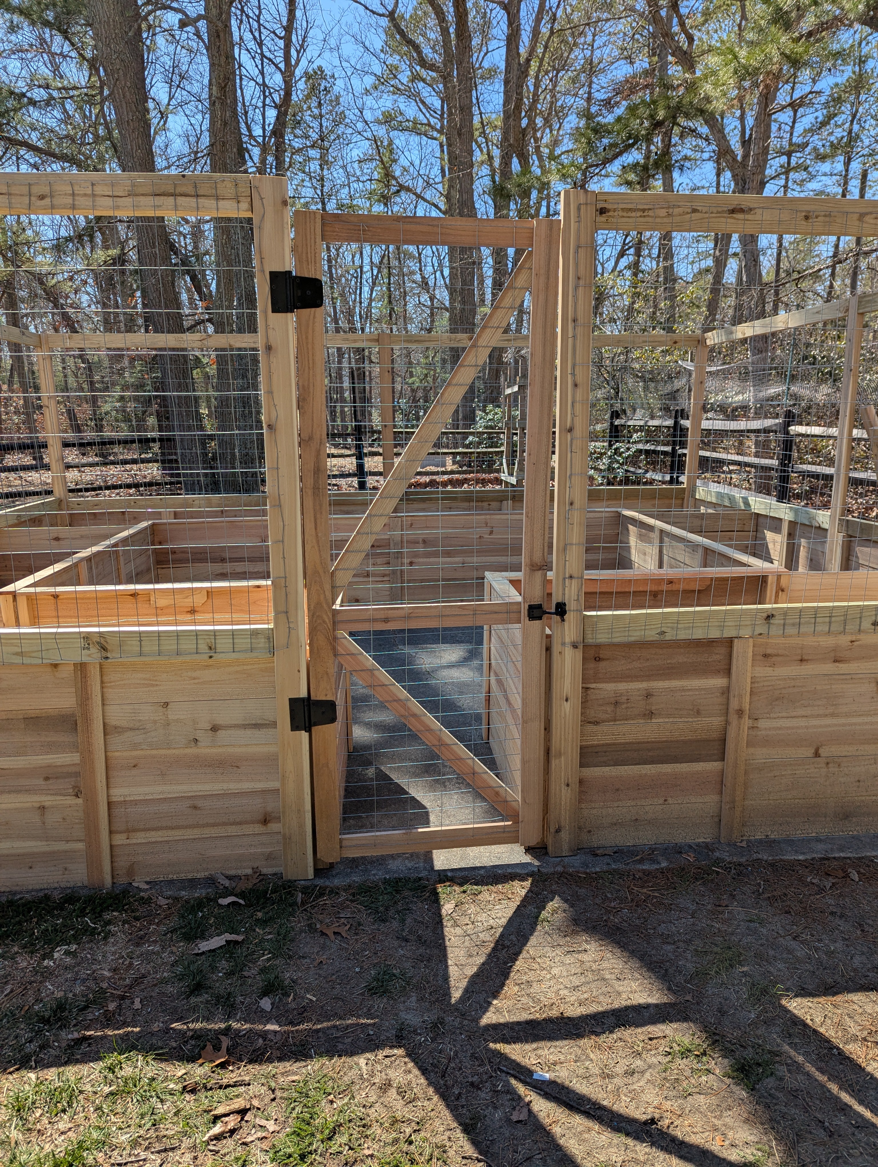 🌱 Cedar Raised Garden Bed Enclosure (Custom Sizes Available)